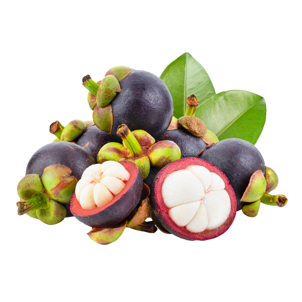 Mangosteen-THAIFIN-ส่งออกผลไม้พรีเมียมไปยังประเทศออสเตรเลีย (New)