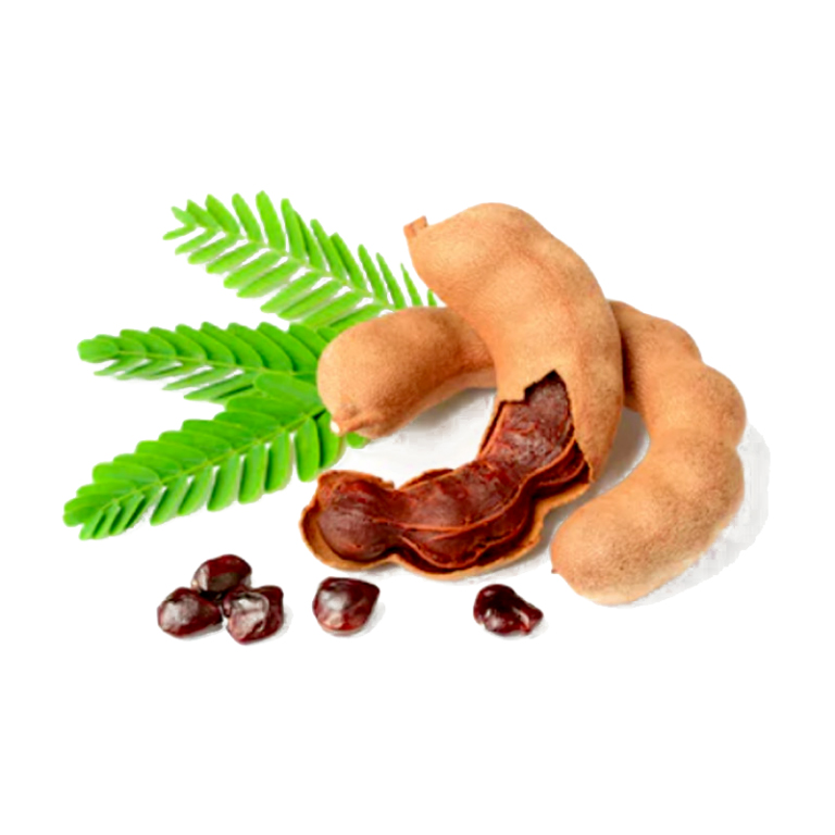 Tamarind--THAIFIN-ส่งออกผลไม้พรีเมียมไปยังประเทศออสเตรเลีย-768x768 (New)
