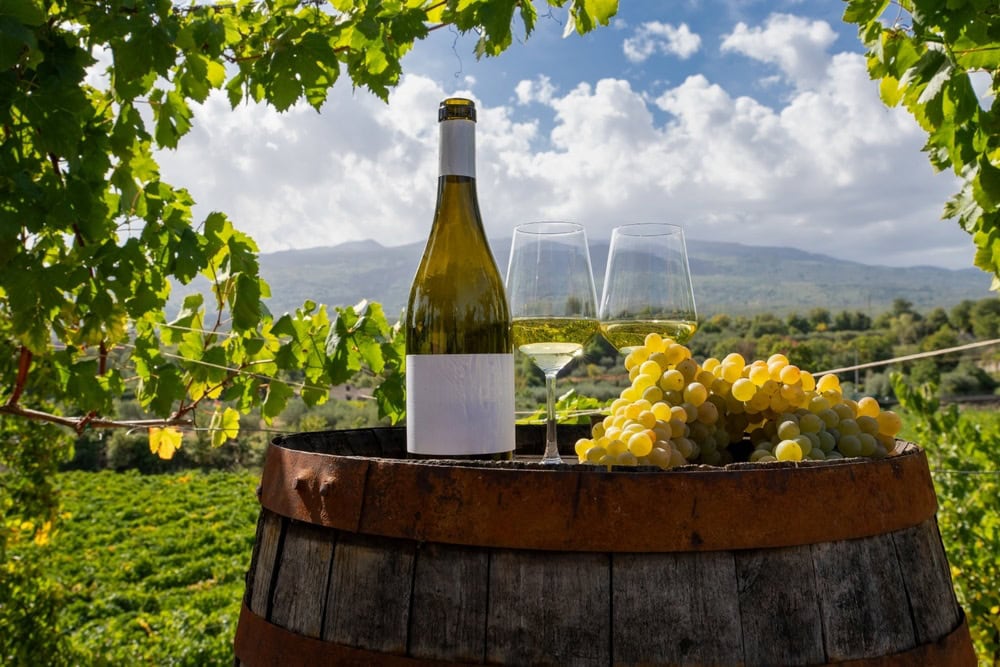 Import the best Australian wines to Thailand