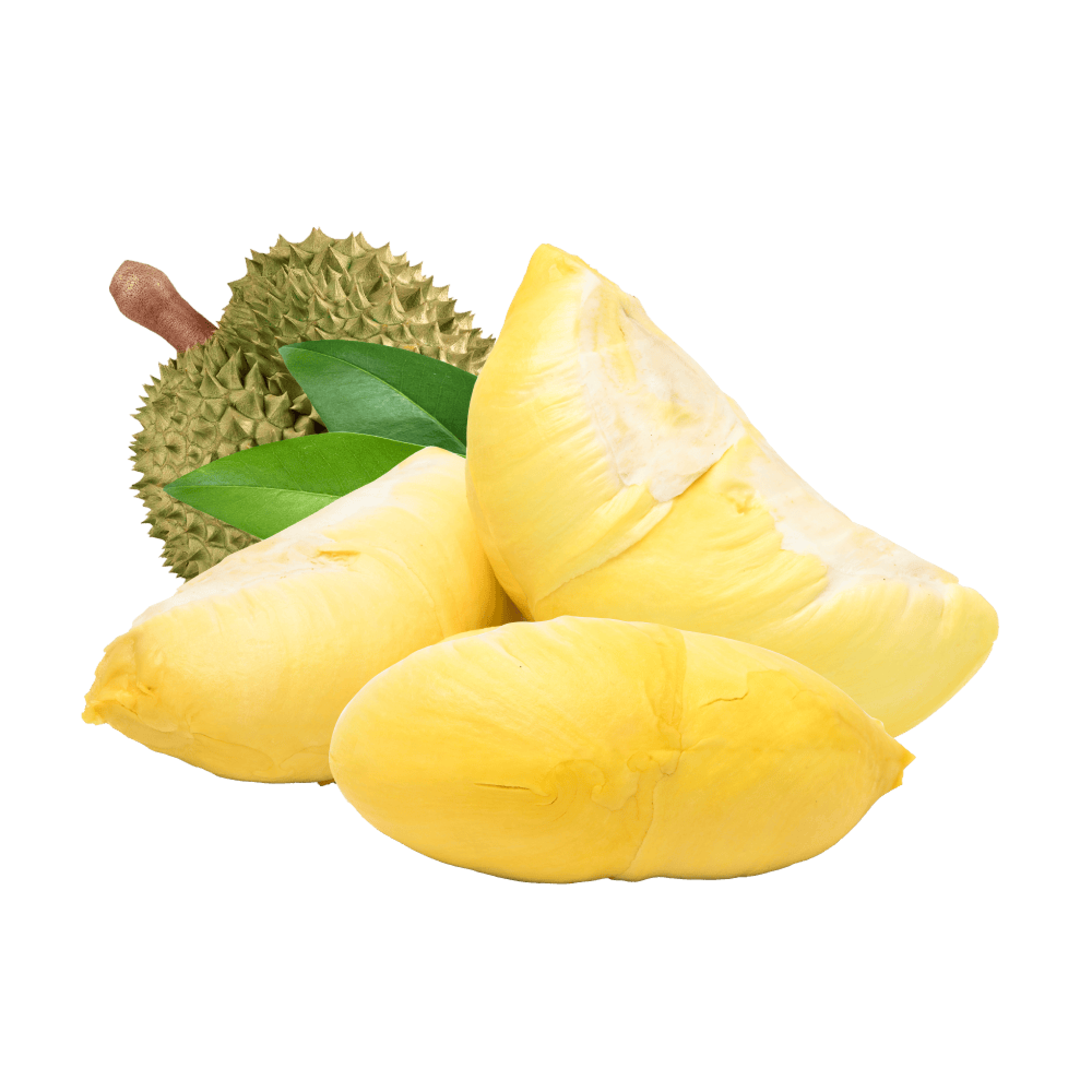 Fresh Cut Durian -THAIFIN ส่งออกผลไม้พรีเมียมไปยังประเทศออสเตรเลีย Fresh Cut Durian -THAIFIN ส่งออกผลไม้พรีเมียมไปยังประเทศออสเตรเลีย